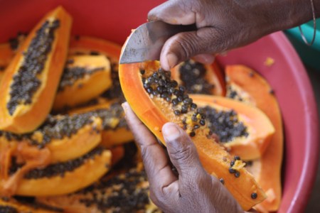 clean papaya