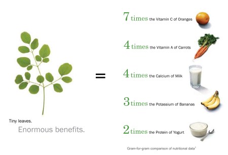 Nutritional value of Moringa leaves