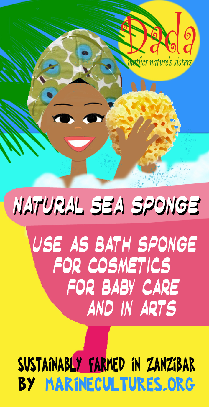 Natural sea sponges from Zanzibar